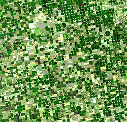 Imagen satelital de plantaciones de cereal en Kansas