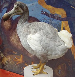 Representación del dodo