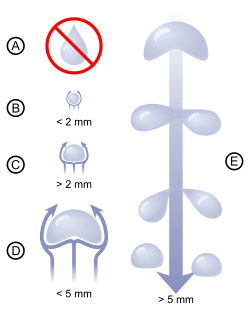 Esquema de la evolución de la forma de las gotas de lluvia según su tamaño.