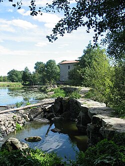 Curso del río Sèvre Nantaise