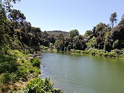 Pantano de Vallvidriera rodeado de vegetación.