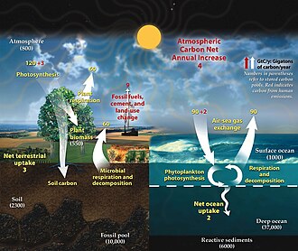 Ciclo del carbono en la Tierra
