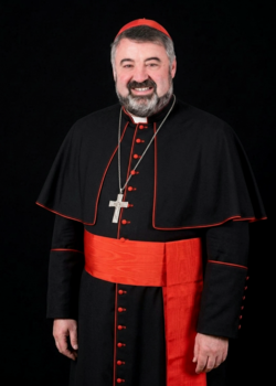 Cardenal Carlos Escribano Subías