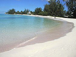 Playa costera en Barbados con vegetación y aguas cristalinas.