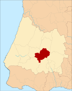 Escudo y símbolos heráldicos
