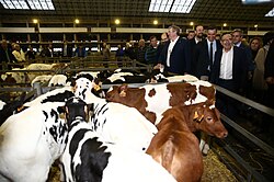 Mercado Nacional de Ganado