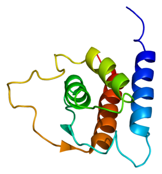 Representación molecular de la estructura de la interleucina-13