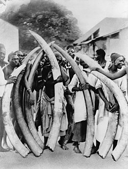 Hombres con colmillos de elefante, Dar es Salaam, c. 1900