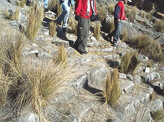 Escalinata incaica en el camino hacia el nevado Pariacaca.