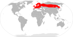 Representación gráfica auxiliar