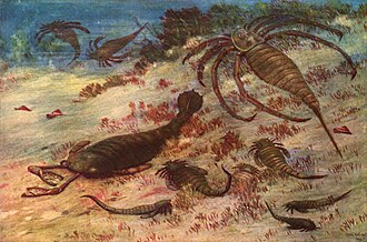 Cuando animales como los Eurypterida desaparecieron, los primeros vertebrados ocuparon su lugar.