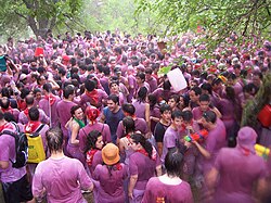 Batalla del Vino en los Riscos de Bilibio