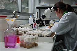 Laboratorios e investigación en la Universidad de Oporto