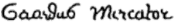 Representación esquemática de la proyección de Mercator