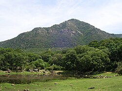 Alcornocales en la provincia de Cádiz