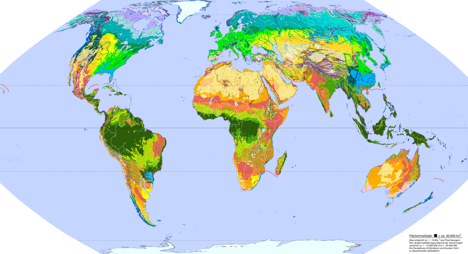 Mapa detallado de los biomas terrestres clasificados según los tipos de vegetación.