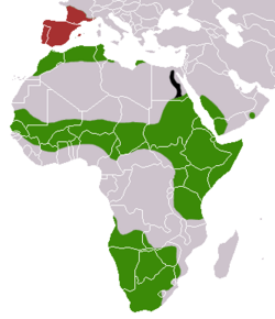 Detalle del mapa de distribución de la especie