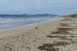 Playa de Palma en Mallorca.