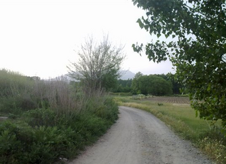 Camino rural entre las localidades españolas de Láchar y Cijuela en la provincia de Granada.