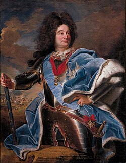 Representación esquemática y datos históricos de la Campaña del Rin de 1713