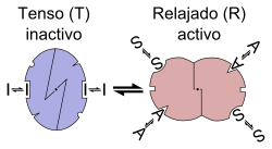 Transición alostérica