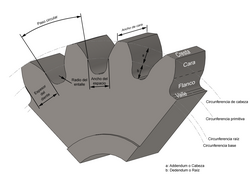 Diagrama con los elementos geométricos fundamentales de un engranaje