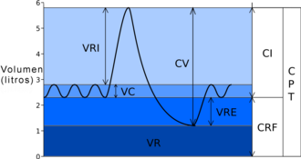 Espirometría y volúmenes pulmonares estáticos
