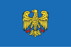 Bandera histórica del Friul