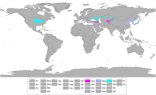 Mapa mundial del subtipo de verano cálido