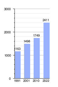 Gráfica demográfica de Epuyén
